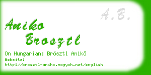 aniko brosztl business card
