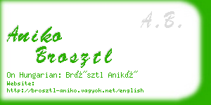 aniko brosztl business card